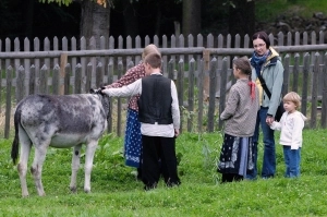 Czechy 2010 - zdjęcie 1