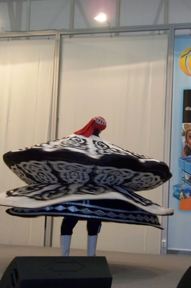 Tour Salon 2010 c.d. - zdjęcie 7