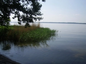 Galeria id: 139 - zdjęcie 5