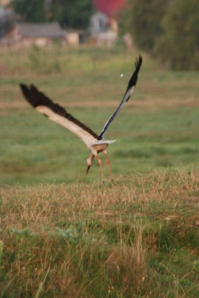 Ukraina 2010 - zdjęcie 7