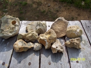 ZIEMIA KIELECKA - zdjęcie 3