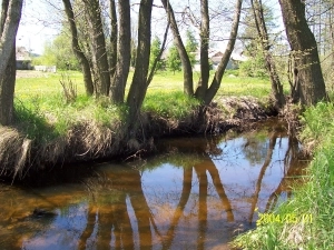 ZIEMIA KIELECKA - zdjęcie 8