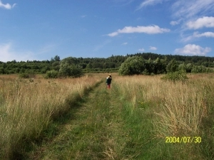 ZIEMIA KIELECKA - zdjęcie 9