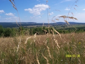 ZIEMIA KIELECKA - zdjęcie 10