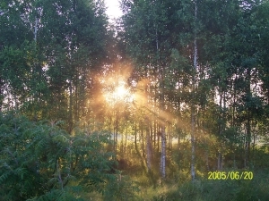 ZIEMIA KIELECKA - zdjęcie 11