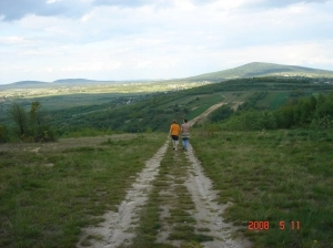 ZIEMIA KIELECKA - zdjęcie 13