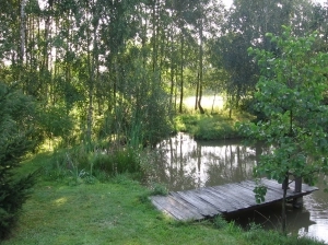 ZIEMIA KIELECKA - zdjęcie 20