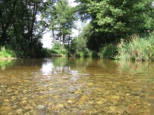 ZIEMIA KIELECKA - zdjęcie 21