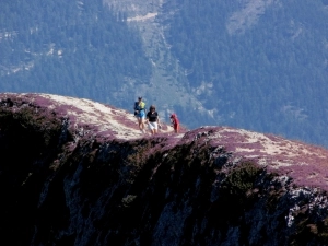 AUSTRIA 2012 - zdjęcie 19