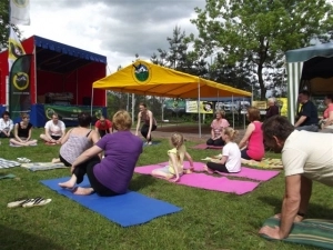 Ochaby 2013 - zdjęcie 9