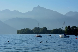 AUSTRA  2013 - zdjęcie 2