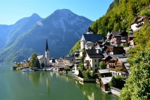 AUSTRA  2013 - zdjęcie 3