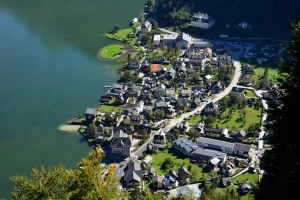 AUSTRA  2013 - zdjęcie 7