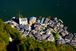 AUSTRA  2013 - zdjęcie 10