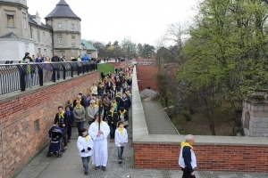 Pielgrzymka 2014 - zdjęcie 6