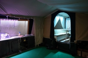 Motor Show 2015 (cz. 3) - zdjęcie 34