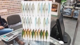 Rybomania 2017 - zdjęcie 43