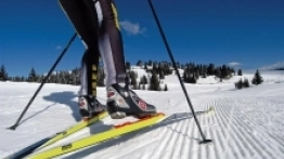 Trentino - zdjęcie 1