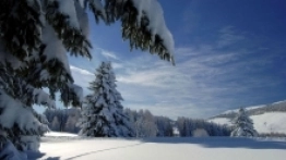 Trentino - zdjęcie 5