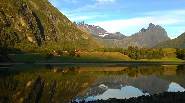 Wasze historie: Podróż życia i stłuczka