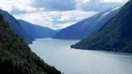 Wasze historie: Podróż życia i stłuczka - zdjęcie 3