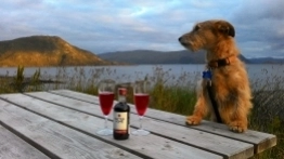 Wasze historie: Podróż życia i stłuczka - zdjęcie 4