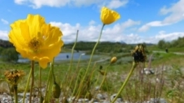 Wasze historie: Podróż życia i stłuczka - zdjęcie 5