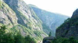 Wasze historie: Podróż życia i stłuczka - zdjęcie 7