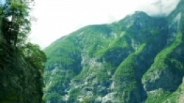 Wasze historie: Podróż życia i stłuczka - zdjęcie 8