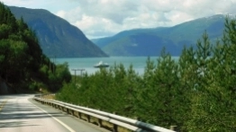 Wasze historie: Podróż życia i stłuczka - zdjęcie 9