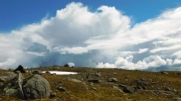 Wasze historie: Podróż życia i stłuczka - zdjęcie 14