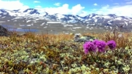 Wasze historie: Podróż życia i stłuczka - zdjęcie 15