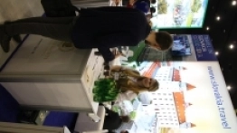 GLOBalnie 2017 - zdjęcie 4