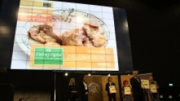 GLOBalnie 2017 - zdjęcie 8