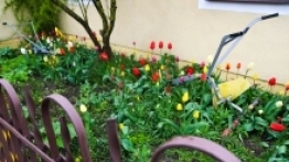 Frombork - zdjęcie 8