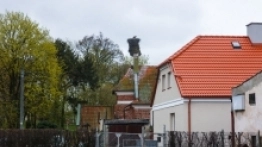 Frombork - zdjęcie 9