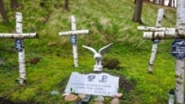 Frombork - zdjęcie 12