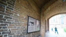 Frombork - zdjęcie 28