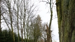 Frombork - zdjęcie 50