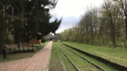 Puszcza Białowieska / Białowieża - zdjęcie 2