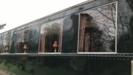 Puszcza Białowieska / Białowieża - zdjęcie 3