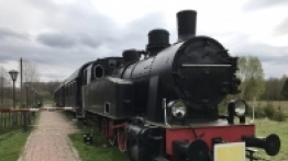 Puszcza Białowieska / Białowieża - zdjęcie 4