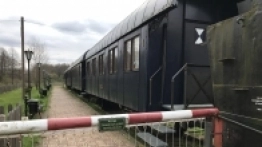 Puszcza Białowieska / Białowieża - zdjęcie 5