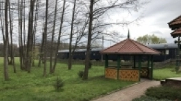 Puszcza Białowieska / Białowieża - zdjęcie 6