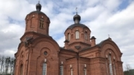 Puszcza Białowieska / Białowieża - zdjęcie 10