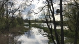 Puszcza Białowieska / Białowieża - zdjęcie 11