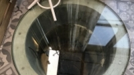 Puszcza Białowieska / Białowieża - zdjęcie 25