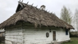 Puszcza Białowieska / Białowieża - zdjęcie 26