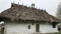 Puszcza Białowieska / Białowieża - zdjęcie 27