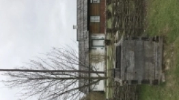 Puszcza Białowieska / Białowieża - zdjęcie 28